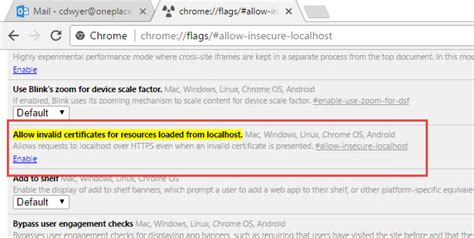 localhost 11501 chrome|Chrome allow insecure localhost .